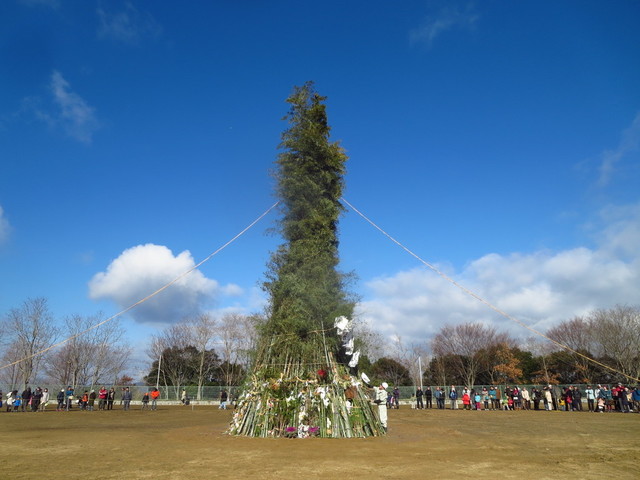 20150112Ƃ (3).JPG