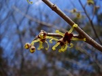 DSC04380.jpg