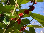 DSC04400.jpg