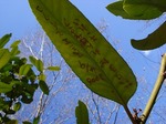 DSC04402.jpg