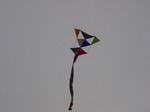 DSC05313.jpg