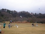 DSC05357.jpg