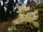 DSC05548.jpg