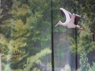 DSCF0576.jpg