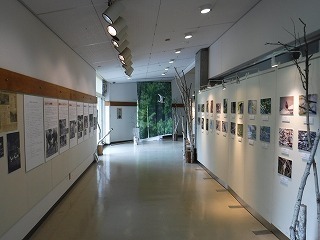 DSCF0578.jpg
