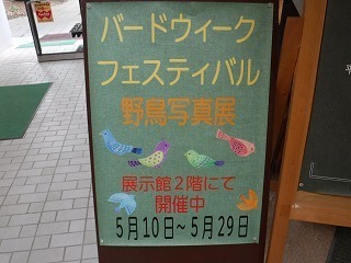 DSCF0579.jpg