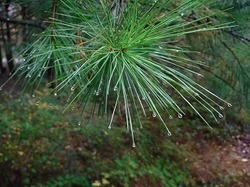 DSCF1025.jpg