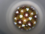 DSCF1090.jpg