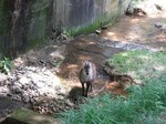 DSCF1188.jpg