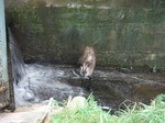 DSCF1191.jpg