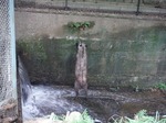 DSCF1192.jpg