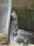 DSCF1194.jpg