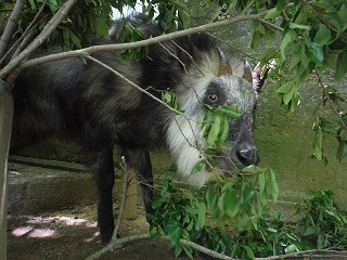 DSCF2757.jpg