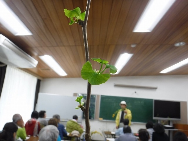 DSCF4642.jpg