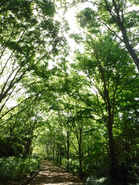DSCF5269.JPG