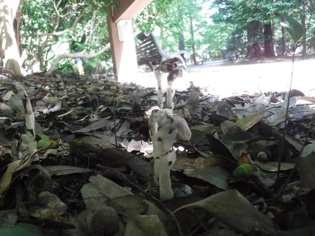 DSCF9168.JPG