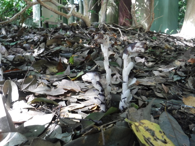 DSCF9169.JPG