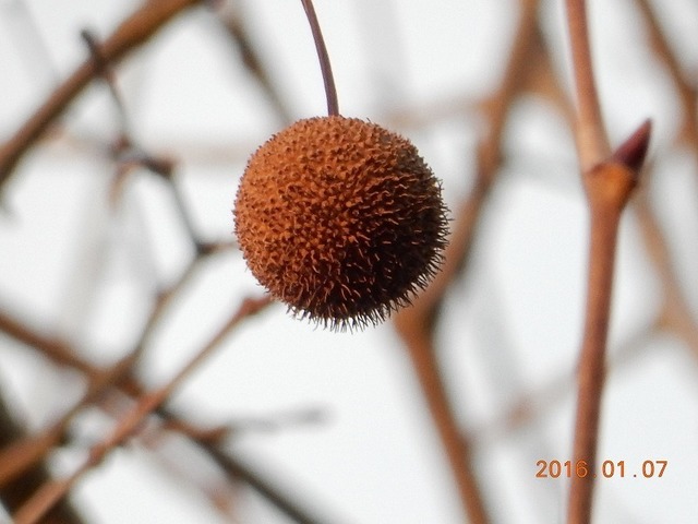 DSCN0204.jpg