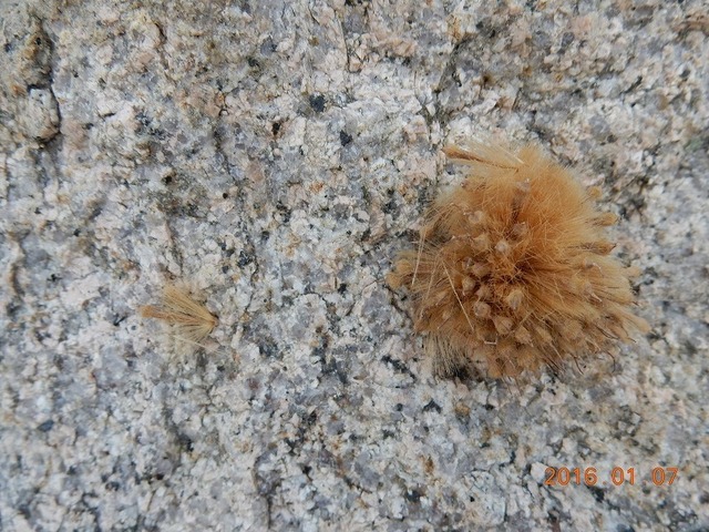 DSCN0206.jpg