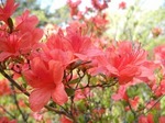 DSCN0579.jpg