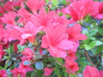 DSCN0589.JPG