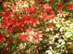 DSCN0593.JPG