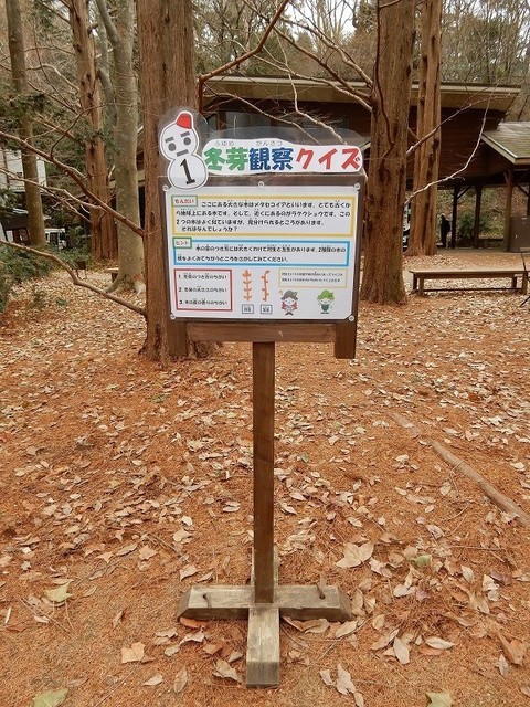 DSCN0602.jpg