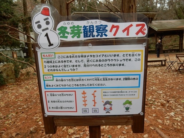 DSCN0603.jpg
