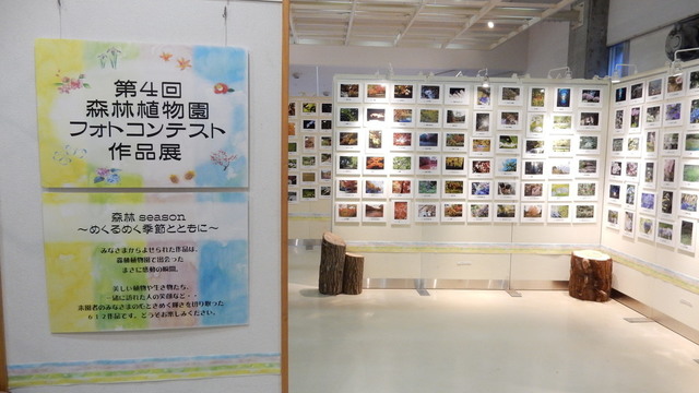 DSCN0892.JPG