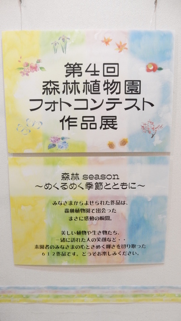 DSCN0894.JPG