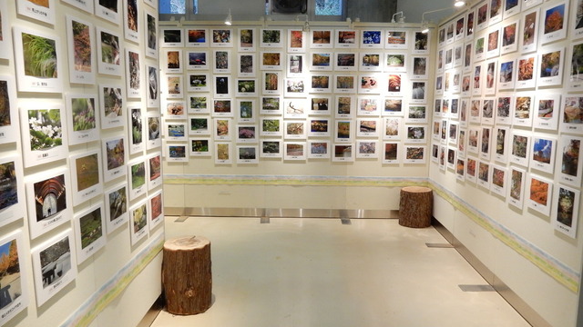DSCN0897.JPG