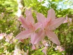 DSCN1389.jpg