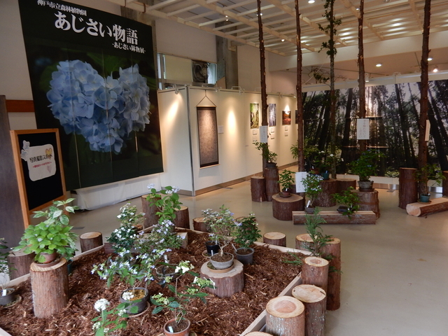 DSCN1894.JPG