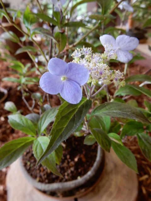 DSCN1897.JPG