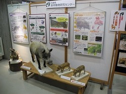 DSCN4516.jpg