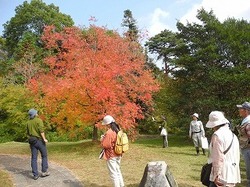 DSCN5966.jpg