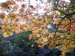 DSCN6003.jpg