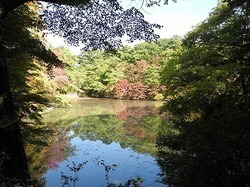 DSCN6008.jpg