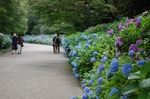 DSC_0469.jpg