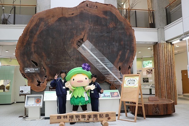 gCRc170608 (111).jpg
