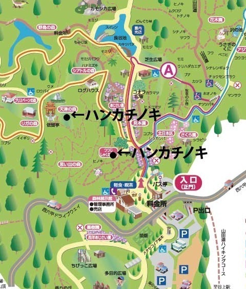 ハンカチ.jpg