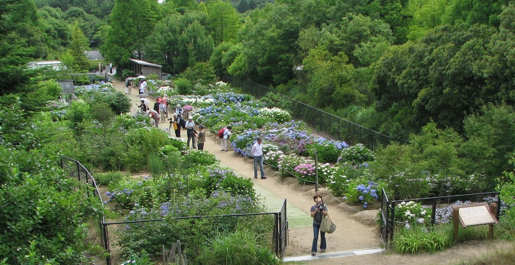 イベント情報 神戸市立森林植物園のブログ