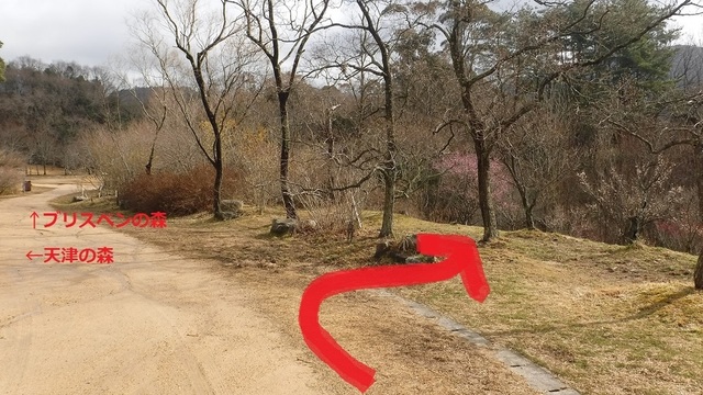 場所矢印入り.jpg