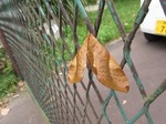 IMG_2303.jpg