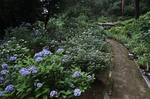 IMG_4247.jpg