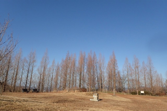 P1010733.jpg