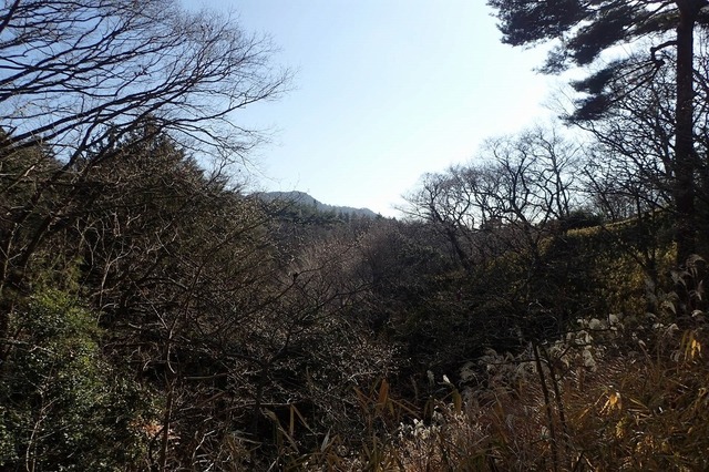 P1010769.jpg