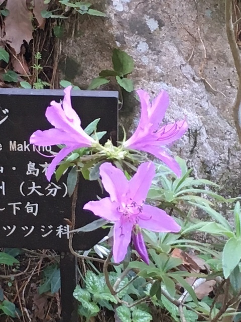 image1.jpg