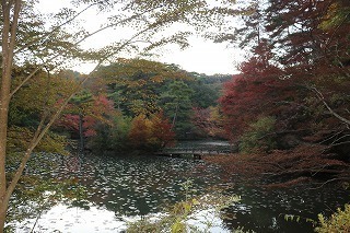 s-171102 (69)JrnimLgt.jpg