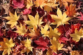 s-171117 (137)II~Wt.jpg